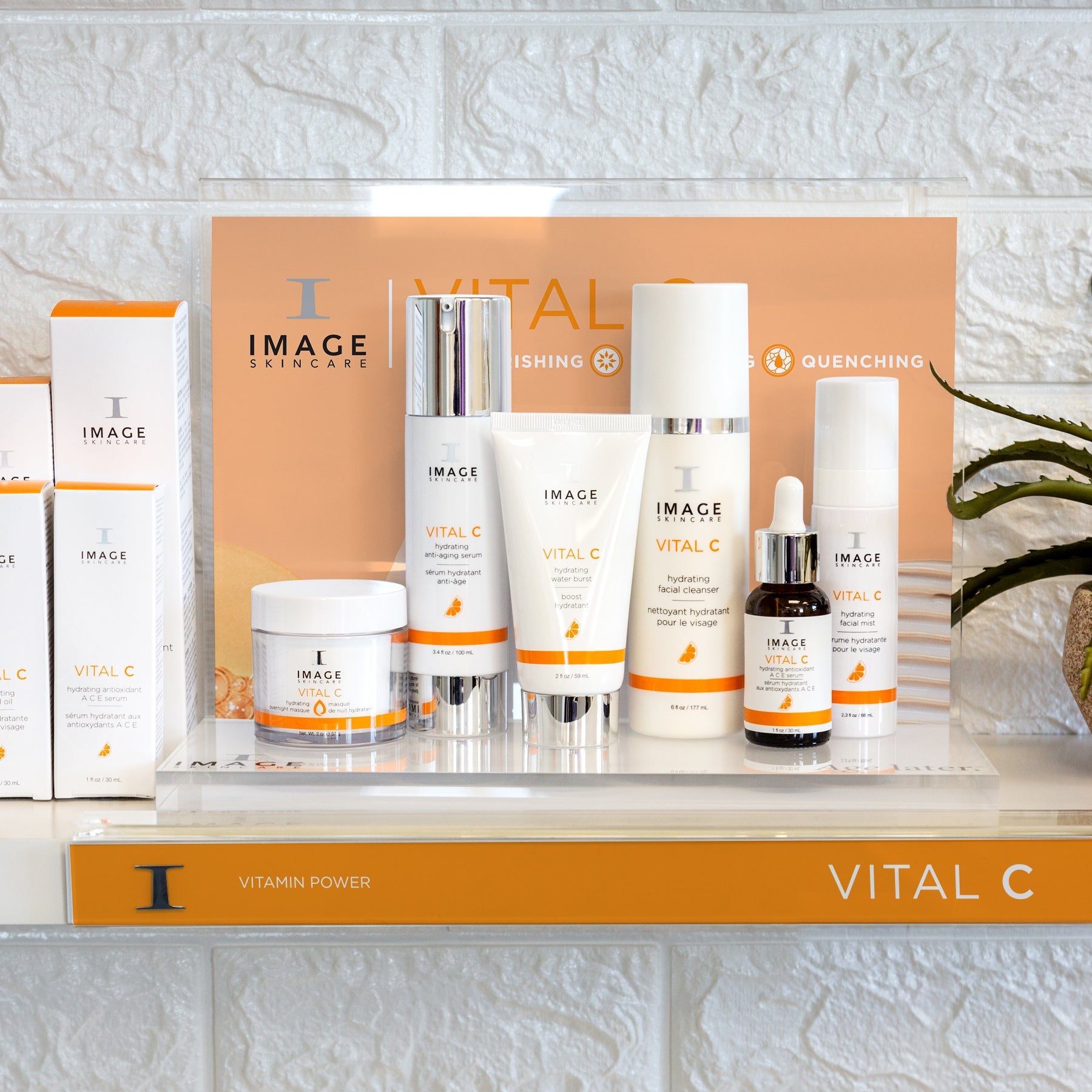 IMAGE collection display